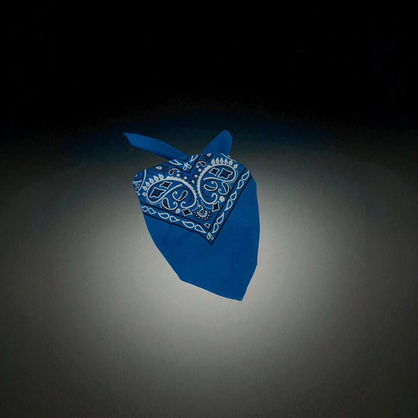 Our bandana help you keep the dust out while being stylish